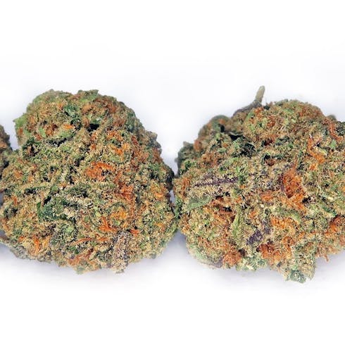Jigga Cookies (I-H)