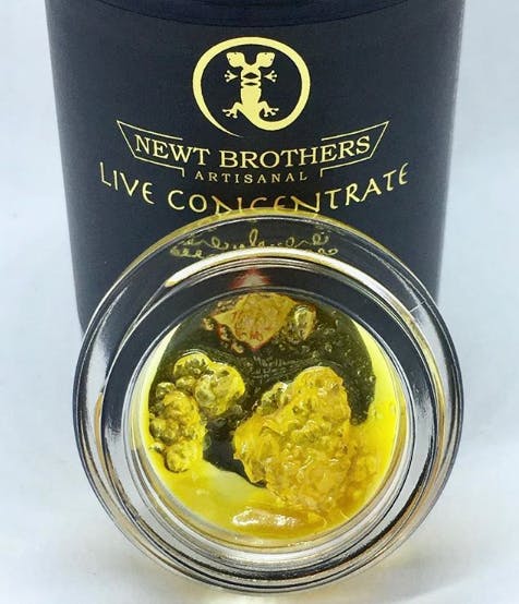 Newt Brothers Artisan Live Resin