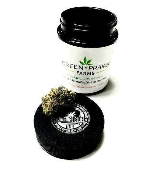 Green Prairie Farms Original Glue