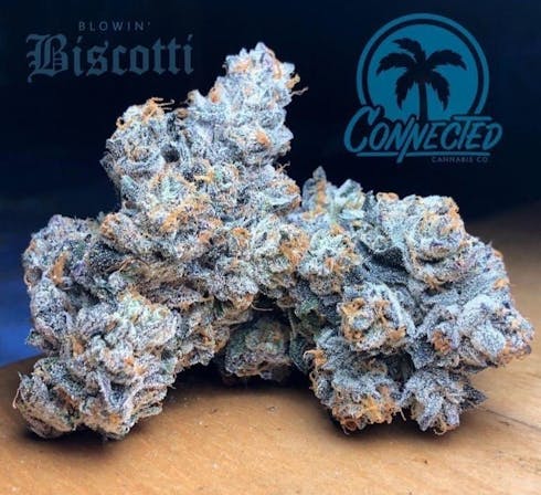 Connected - Biscotti - Indoor
