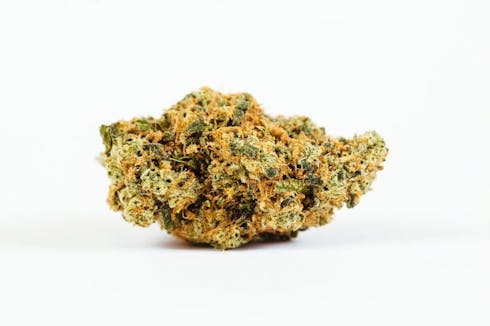 (ABUNDANT ORGANICS) Jenny Kush - Top Tier