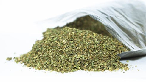 Tangie Cookies SHAKE