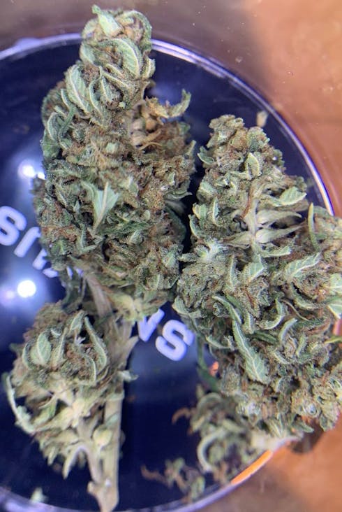 Remedy