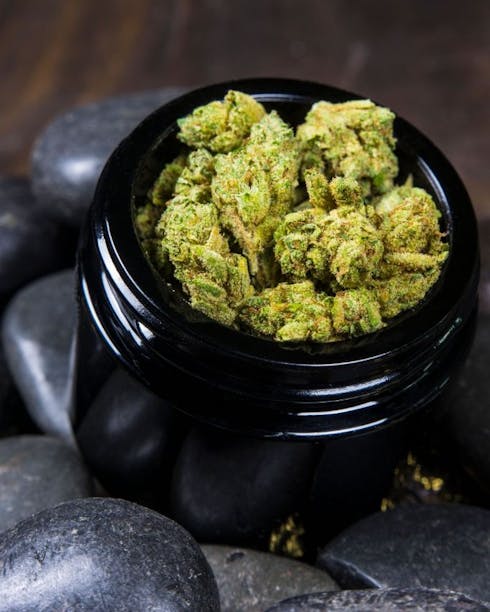 GG (f.k.a. Gorilla Glue)