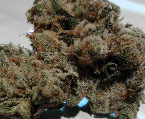 Durban Cookies