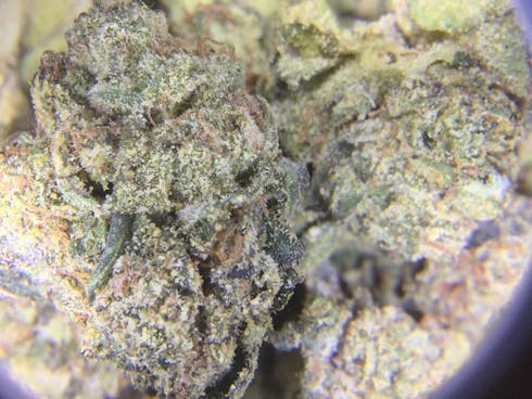 Jet Fuel