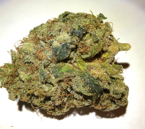 G13 Lemon Haze