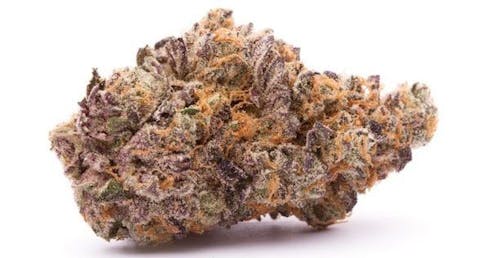 BG Special Batch