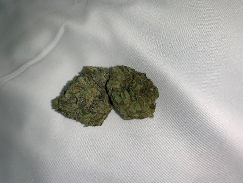 Sky Cuddler Kush