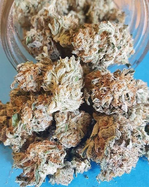 Grease Monkey