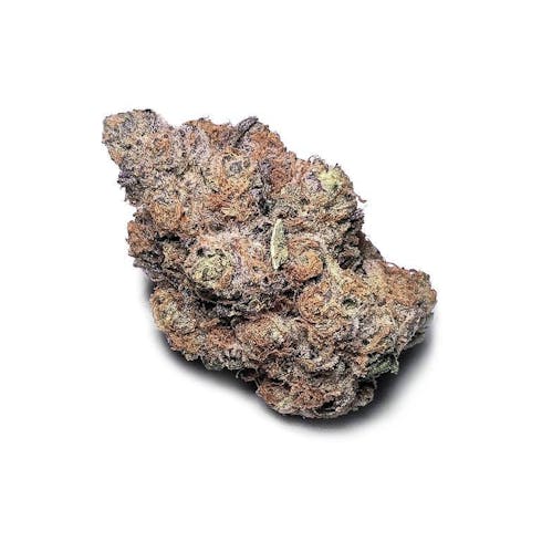 Star Pie (H) | Bohemian Brothers
