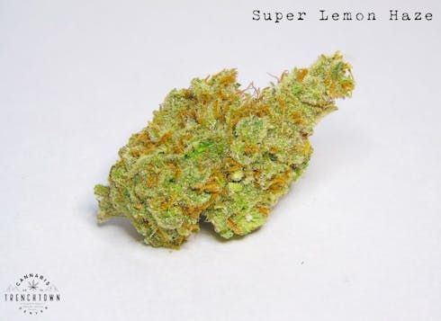 Super Lemon Haze (REC)