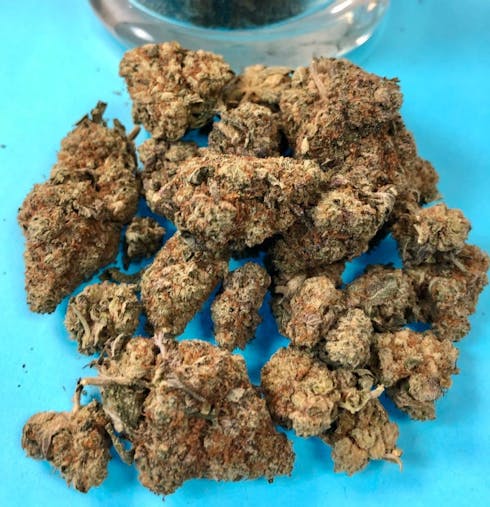 Blue Cookie