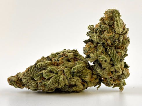 Holy Grail