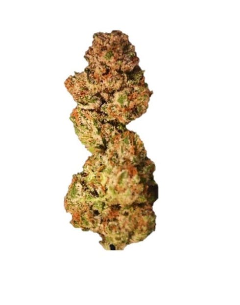 LOUIE OG (32%)