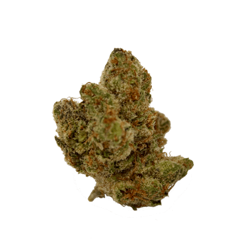 Orange Cookies (Rec - Grown by Dutch Boy)