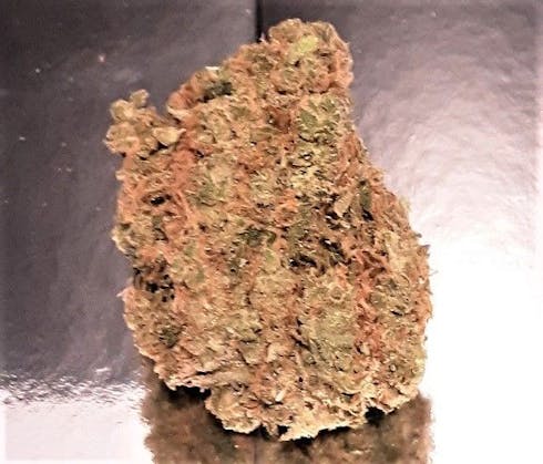 Super Silver Haze