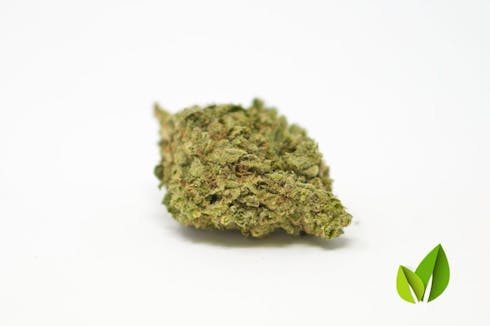 Peach Mimosa - Red Label