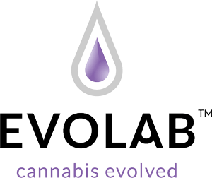 Evolab 300mg Alchemy All-In-One (Recreational)