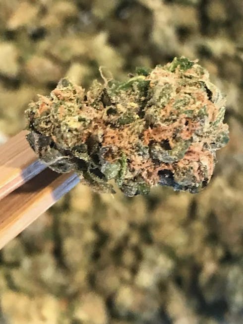 Sour Banana Sherbert (50/50)