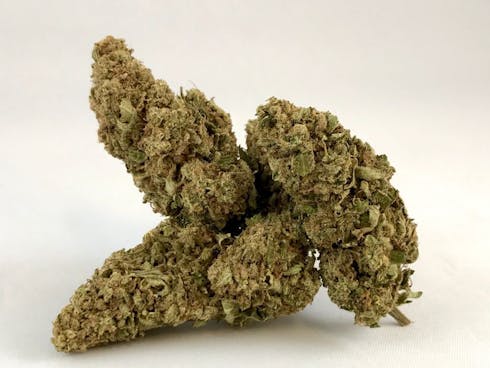 GSC