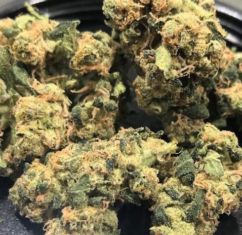 OG KUSH