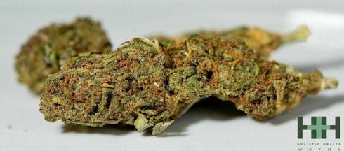 Obama Kush (I) Pre-Pack