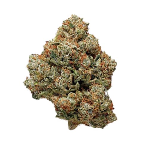 STARDAWG