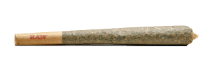 Mini Pre-Roll: White Knuckles