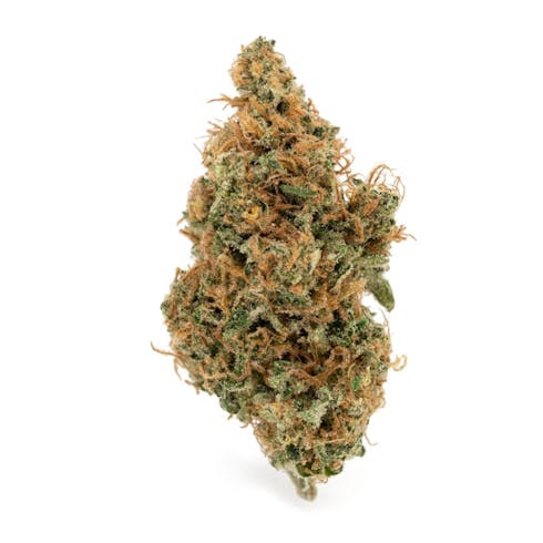 Mid Shelf - Dr. Grinspoon