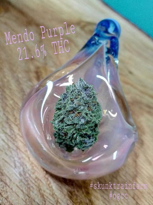 Mendo Purple