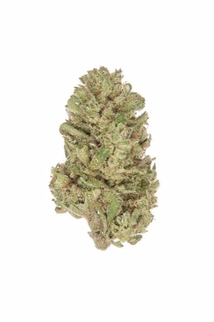 Blueberry Muffins (30% OFF)