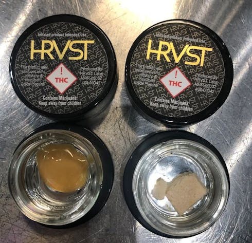 HRVST wax 1 gram