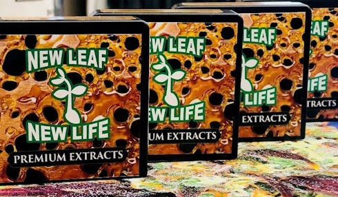 New Leaf Shatter