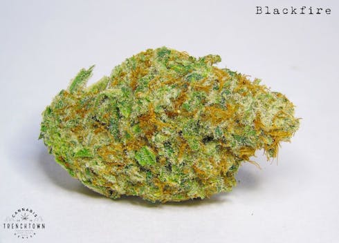 Black Fire (MED)