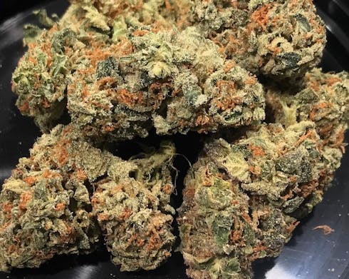 TAHOE OG