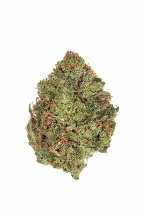 Golden Pineapple (30% OFF)