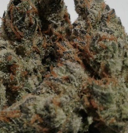 Bubba Gum Kush