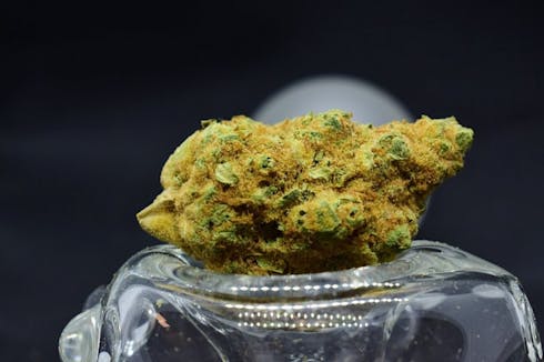 Strawberry Guava #3