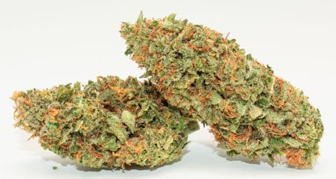 Super Sour Skunk