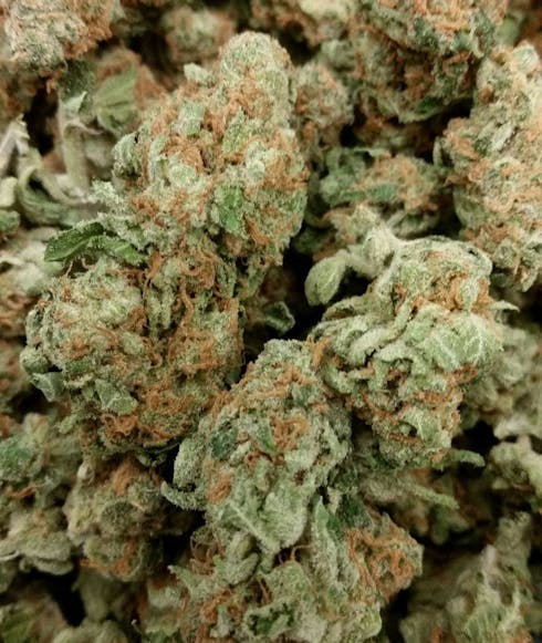 Honey Banana (TAXES INCLUDED)