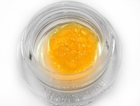 REC - Next 1 Durban Poison x Red Headed Stranger Live Sugar 1g