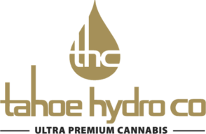 Wild Cherry Punch 2 (Hi) | Tahoe Hydroponics