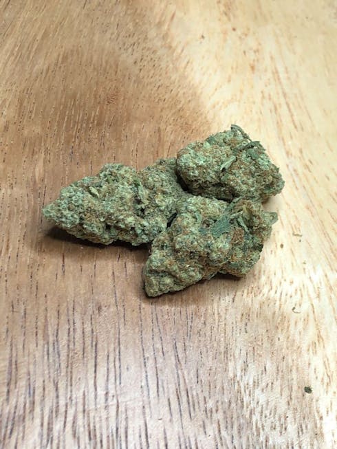 Mimosa (TAX INCLUDED)