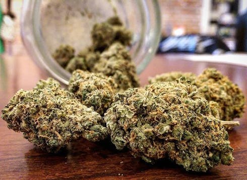 Golden Goat