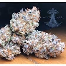Alien Labs | Planet Dosi