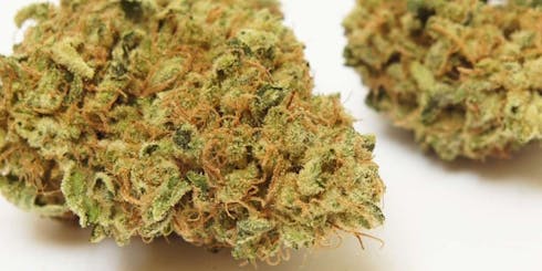 TRIPLE DIESEL (19.64%)