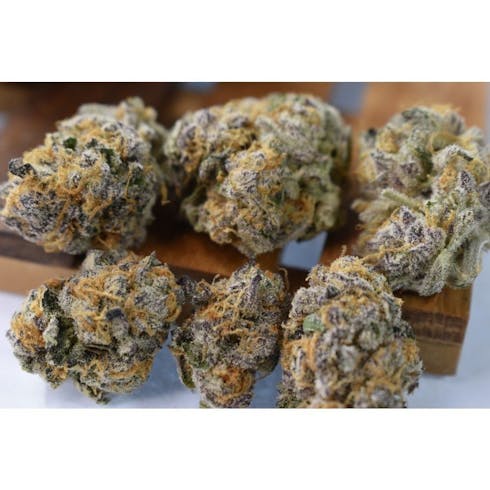 Curio: Purple Punch