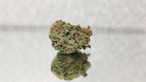 Blue Dream (Sativa)