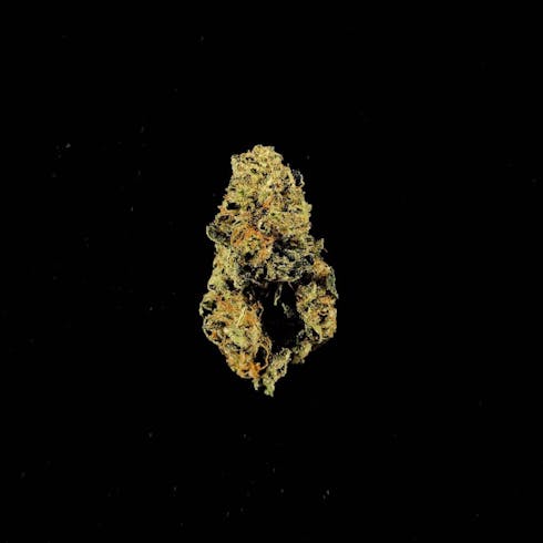Canna-So-Hard